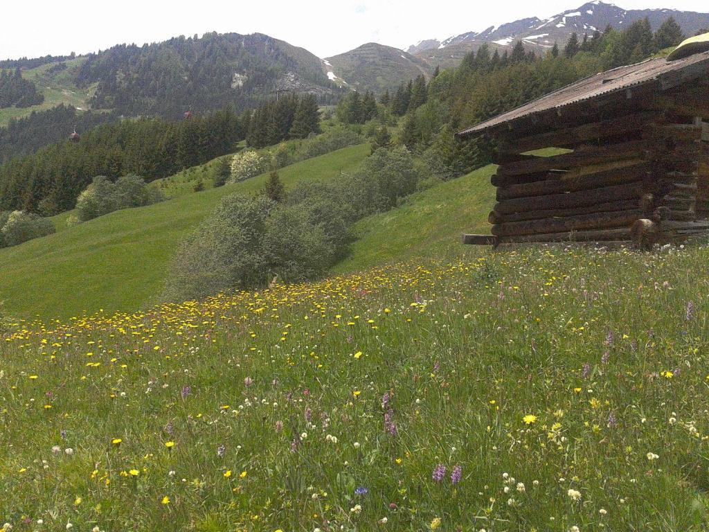 全景一瞬公寓 Kaunerberg 外观 照片